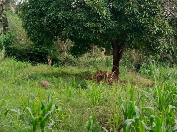 11 Acres for Sale in Mavueni – Riverfront Land with Tarmac Access, Power & Water