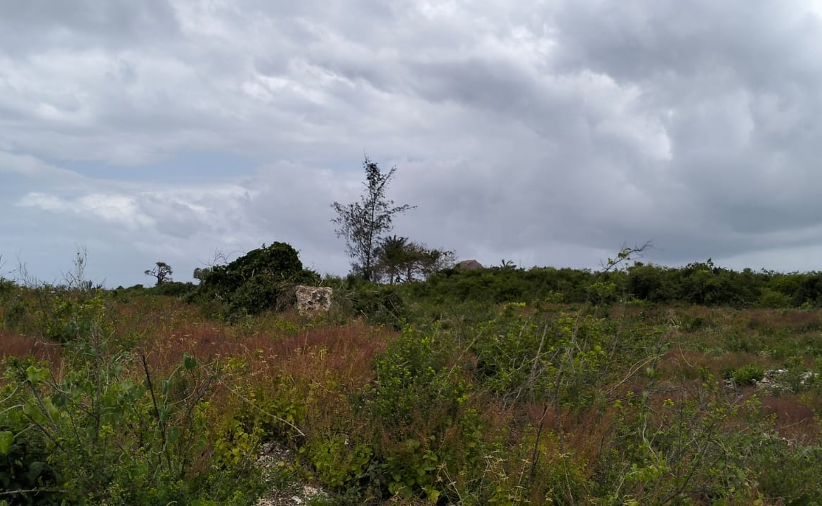 Watamu, 1 Acre for sale on Kanani road