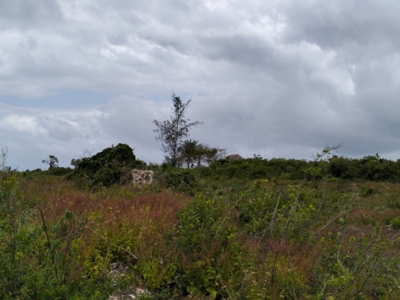 Watamu, 1 Acre for sale on Kanani road