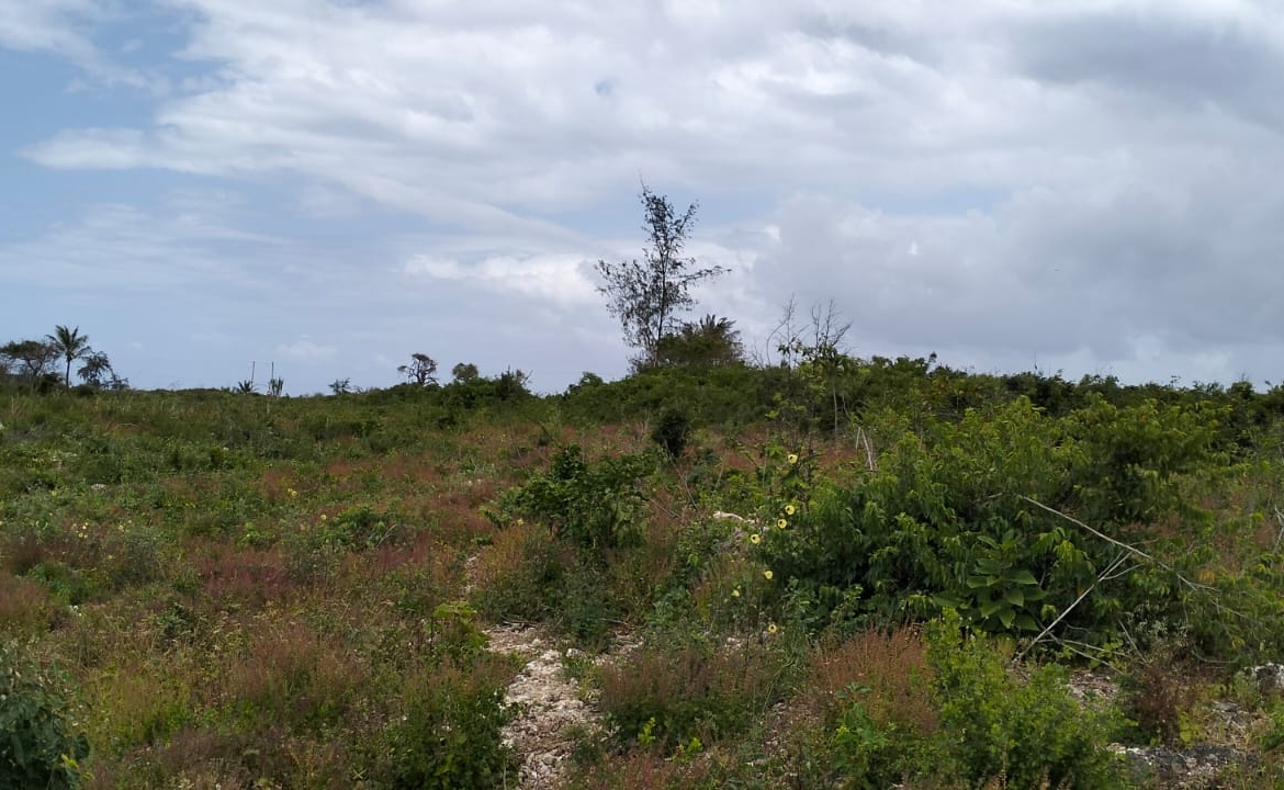 Watamu, 1 Acre for sale on Kanani road