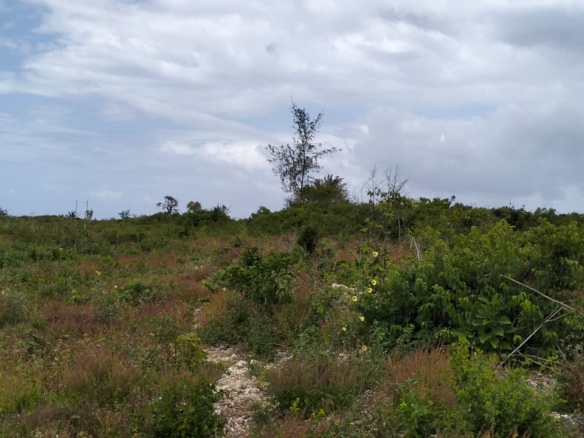 Watamu, 1 Acre for sale on Kanani road