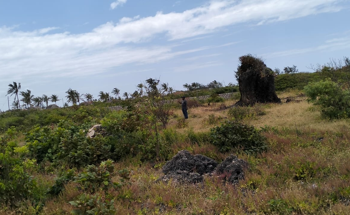 0.25 Acres Prime plot for sale in Watamu