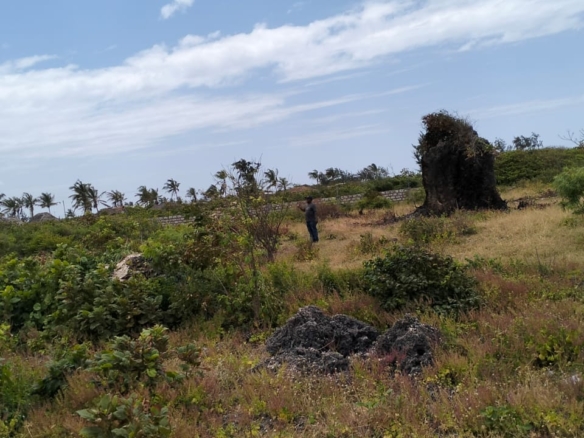 0.25 Acres Prime plot for sale in Watamu