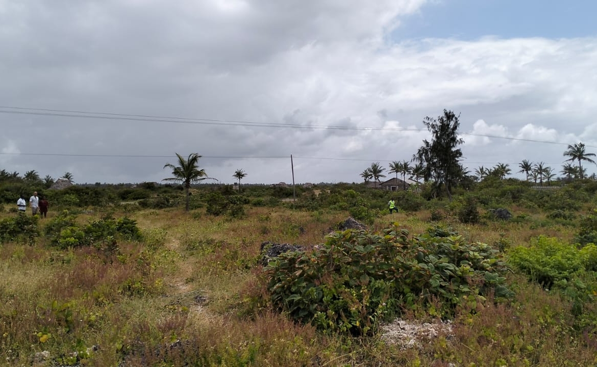 0.25 Acres Prime plot for sale in Watamu