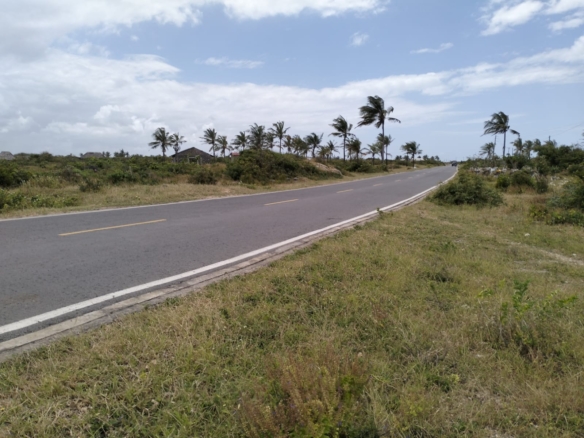 0.25 Acres Prime plot for sale in Watamu