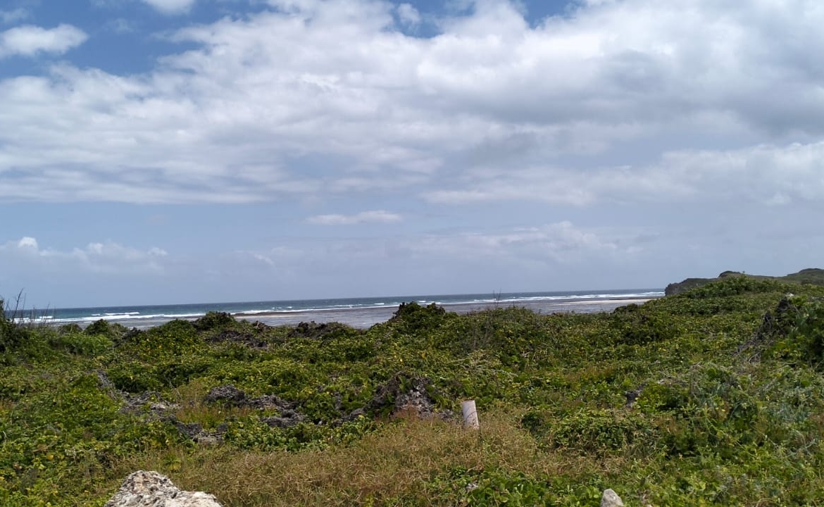 0.125 Acre Plots for sale in Watamu