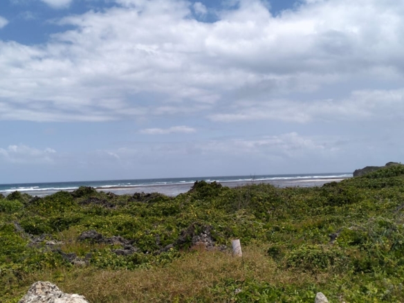 0.125 Acre Plots for sale in Watamu