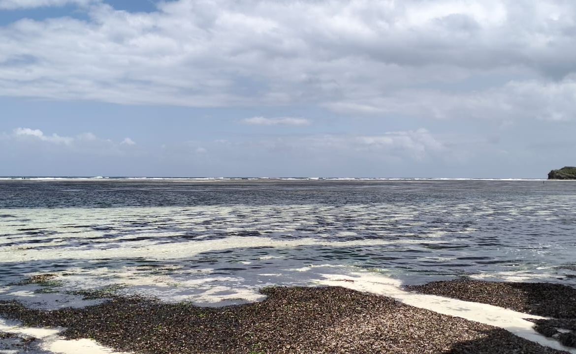 0.125 Acre Plots for sale in Watamu