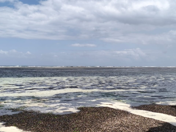 0.125 Acre Plots for sale in Watamu