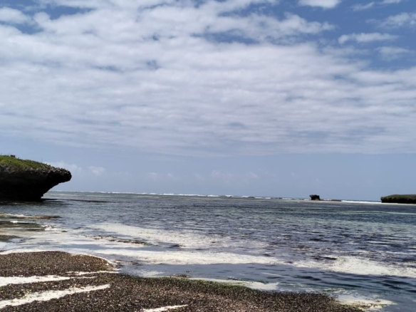 0.125 Acre Plots for sale in Watamu