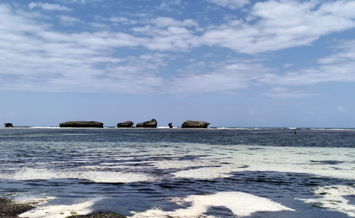 0.125 Acre Plots for sale in Watamu