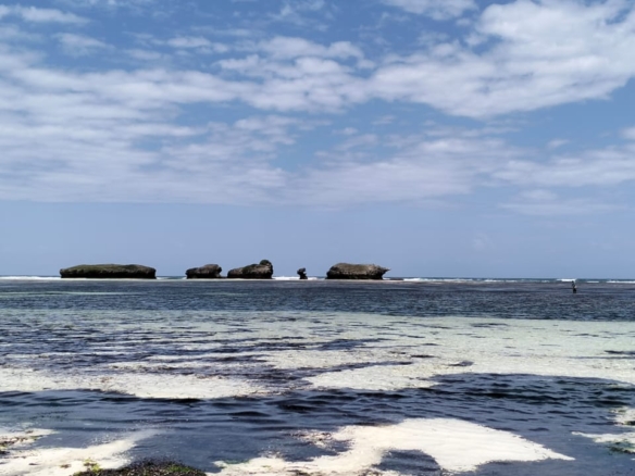 0.125 Acre Plots for sale in Watamu