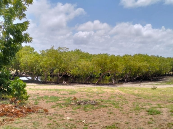 Prawnslake Watamu half acre for sale