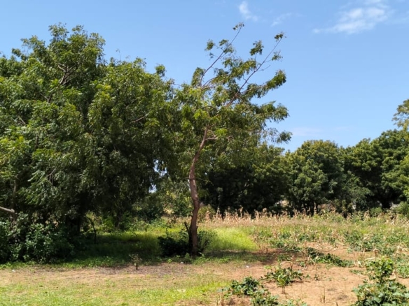 Prawnslake Watamu half acre for sale