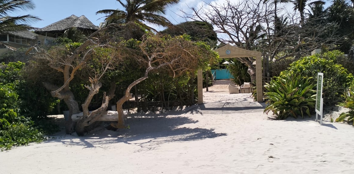 Meta title: Luxury 4-Bed Beachfront Villa for Sale — Medina Palms, Watamu | KES 102M Meta description: Own a modern 4-bedroom villa at Medina Palms, Watamu. Contemporary Cuban-Swahili-Mediterranean design, rooftop plunge pool, spa access — KES 102M. Arrange a viewing with Mkaazi Real Estate.