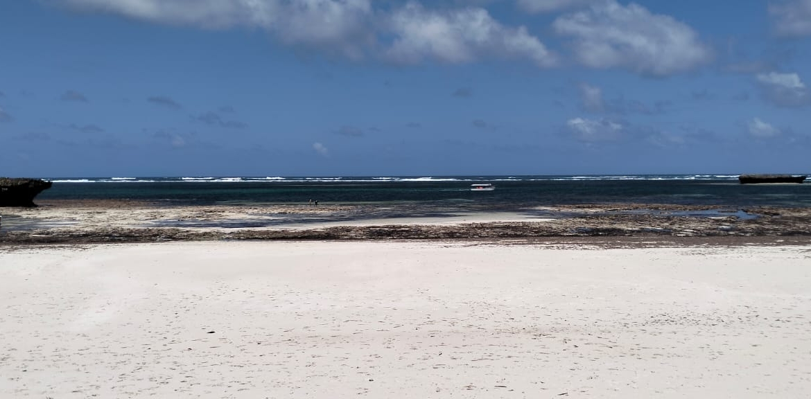Meta title: Luxury 4-Bed Beachfront Villa for Sale — Medina Palms, Watamu | KES 102M Meta description: Own a modern 4-bedroom villa at Medina Palms, Watamu. Contemporary Cuban-Swahili-Mediterranean design, rooftop plunge pool, spa access — KES 102M. Arrange a viewing with Mkaazi Real Estate.