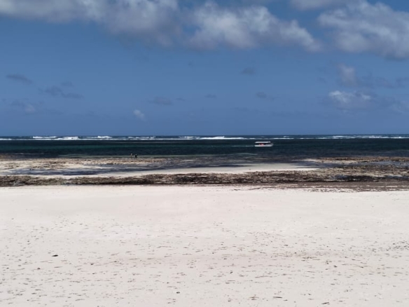 Meta title: Luxury 4-Bed Beachfront Villa for Sale — Medina Palms, Watamu | KES 102M Meta description: Own a modern 4-bedroom villa at Medina Palms, Watamu. Contemporary Cuban-Swahili-Mediterranean design, rooftop plunge pool, spa access — KES 102M. Arrange a viewing with Mkaazi Real Estate.