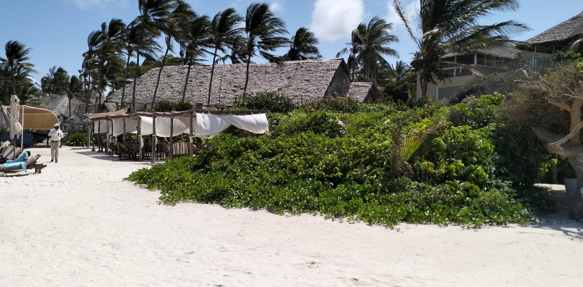 Meta title: Luxury 4-Bed Beachfront Villa for Sale — Medina Palms, Watamu | KES 102M Meta description: Own a modern 4-bedroom villa at Medina Palms, Watamu. Contemporary Cuban-Swahili-Mediterranean design, rooftop plunge pool, spa access — KES 102M. Arrange a viewing with Mkaazi Real Estate.