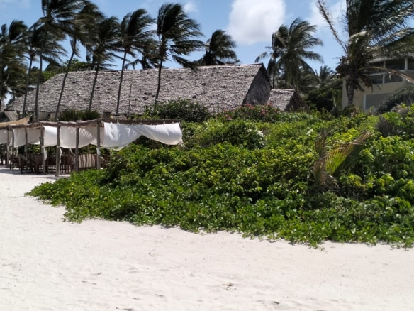 Meta title: Luxury 4-Bed Beachfront Villa for Sale — Medina Palms, Watamu | KES 102M Meta description: Own a modern 4-bedroom villa at Medina Palms, Watamu. Contemporary Cuban-Swahili-Mediterranean design, rooftop plunge pool, spa access — KES 102M. Arrange a viewing with Mkaazi Real Estate.