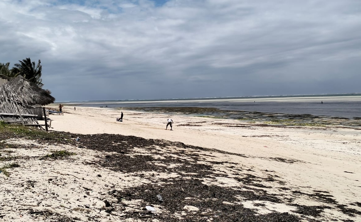 4 Acres for sale Malaika Beach Watamu