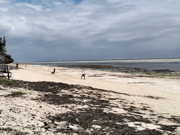 4 Acres for sale Malaika Beach Watamu