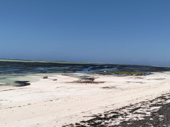 4 Acres for sale Malaika Beach Watamu