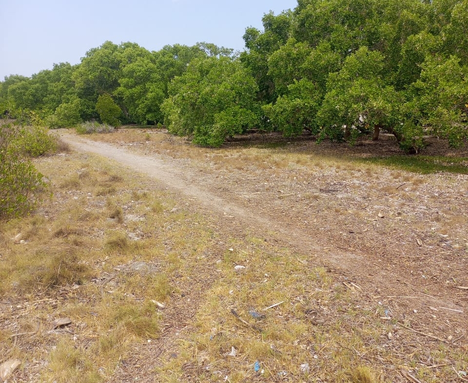 Watamu real estate, land for sale in Watamu, beachfront land Kenya, Mida Creek property, coastal land investment, creekfront land for sale, land banking Kenya, buy land in Watamu, luxury villas Watamu, eco-resort land Kenya