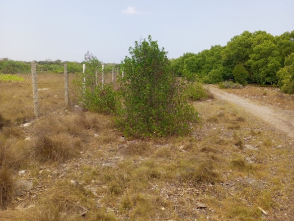 Watamu real estate, land for sale in Watamu, beachfront land Kenya, Mida Creek property, coastal land investment, creekfront land for sale, land banking Kenya, buy land in Watamu, luxury villas Watamu, eco-resort land Kenya