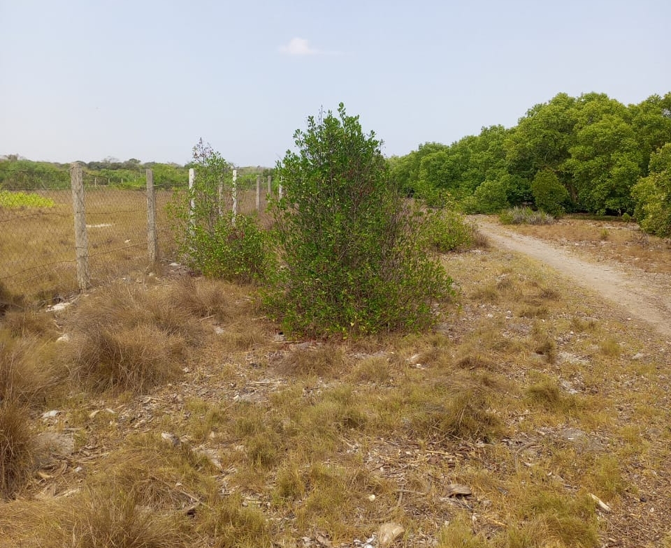 Watamu real estate, land for sale in Watamu, beachfront land Kenya, Mida Creek property, coastal land investment, creekfront land for sale, land banking Kenya, buy land in Watamu, luxury villas Watamu, eco-resort land Kenya