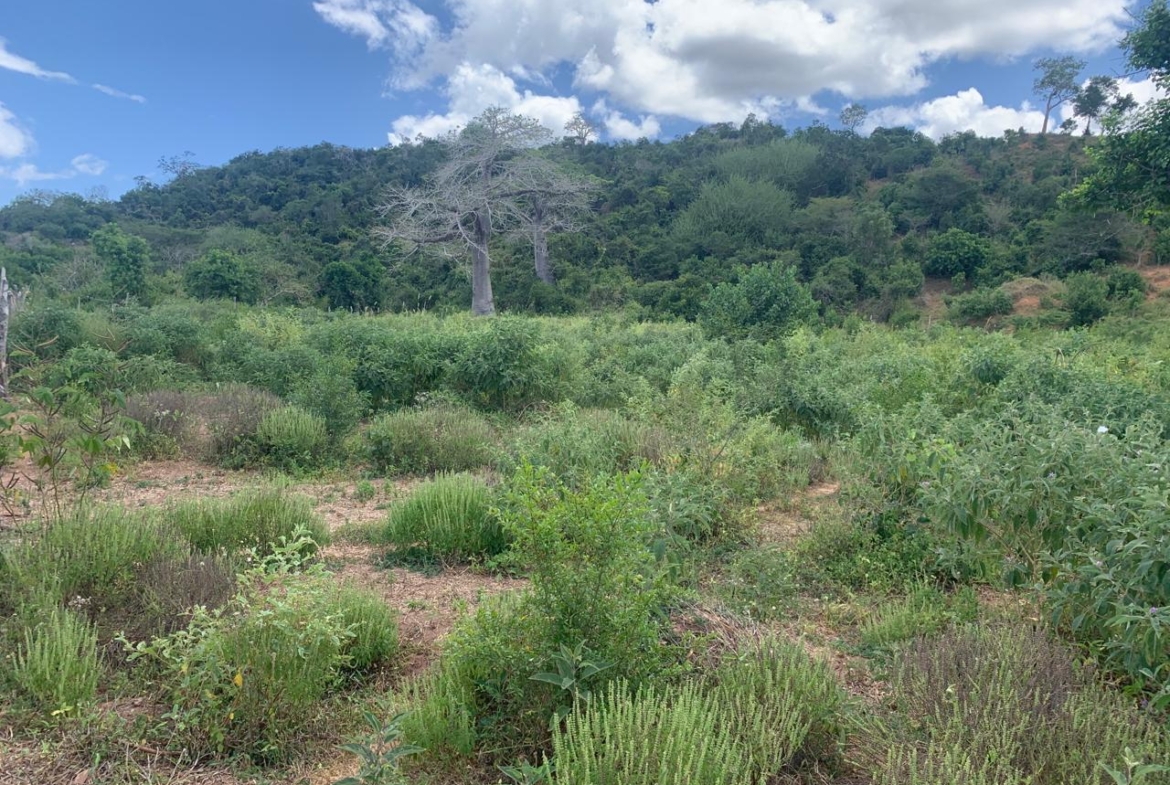 Secure prime land in Marafa, Malindi — 36 acres at just KES 200K per acre. Strategically located near Hell’s Kitchen with eco-tourism, agriculture, and development potential.
