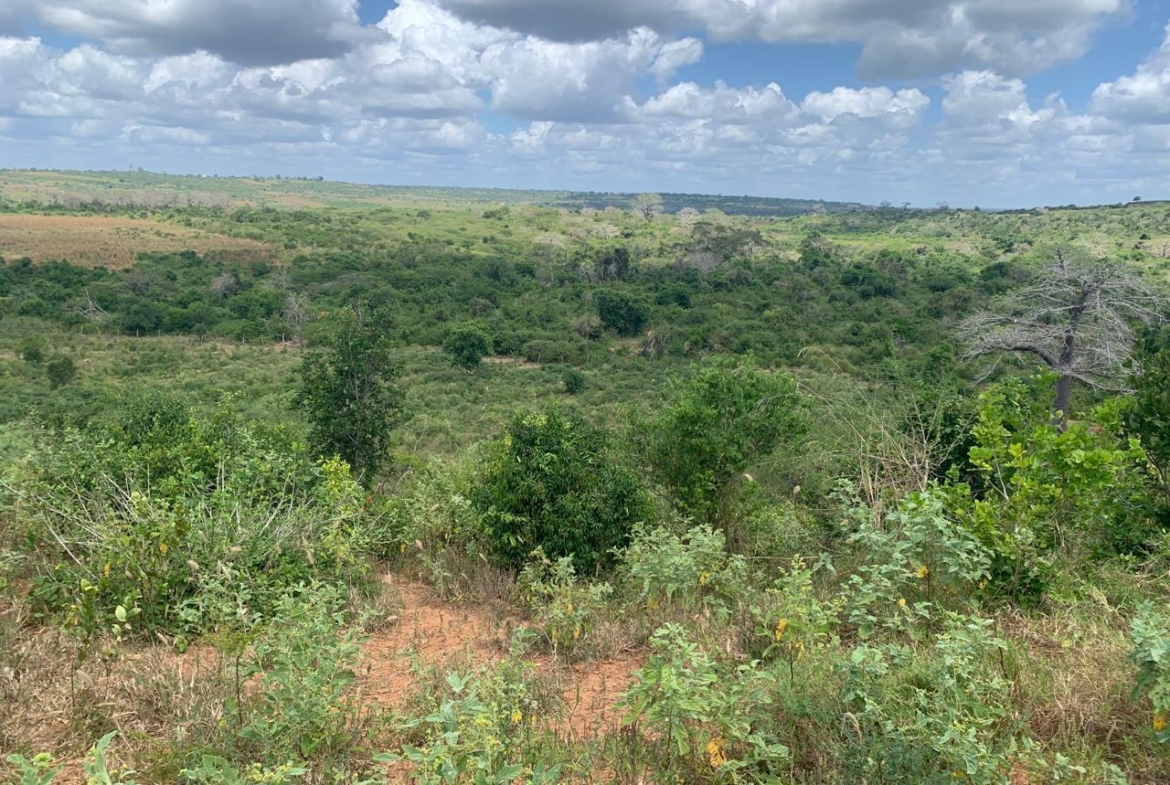 💰 Secure prime land in Marafa, Malindi — 36 acres at just KES 200K per acre. Strategically located near Hell’s Kitchen with eco-tourism, agriculture, and development potential.