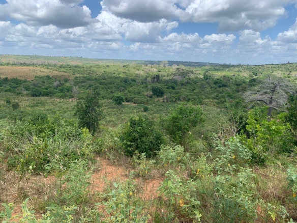 💰 Secure prime land in Marafa, Malindi — 36 acres at just KES 200K per acre. Strategically located near Hell’s Kitchen with eco-tourism, agriculture, and development potential.