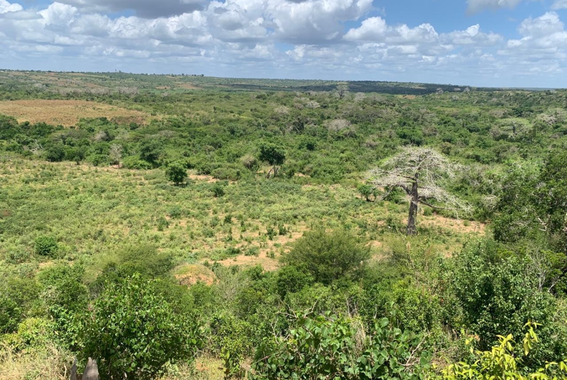 💰 Secure prime land in Marafa, Malindi — 36 acres at just KES 200K per acre. Strategically located near Hell’s Kitchen with eco-tourism, agriculture, and development potential.