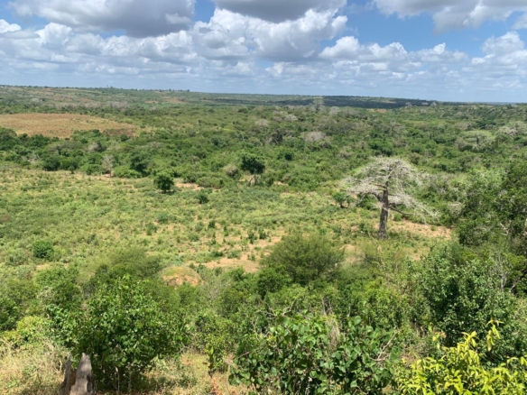 💰 Secure prime land in Marafa, Malindi — 36 acres at just KES 200K per acre. Strategically located near Hell’s Kitchen with eco-tourism, agriculture, and development potential.
