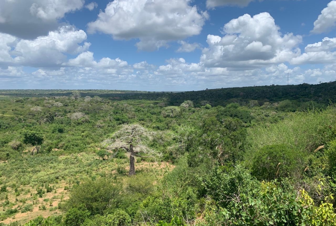 💰 Secure prime land in Marafa, Malindi — 36 acres at just KES 200K per acre. Strategically located near Hell’s Kitchen with eco-tourism, agriculture, and development potential.