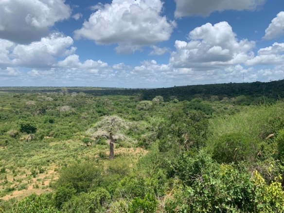 💰 Secure prime land in Marafa, Malindi — 36 acres at just KES 200K per acre. Strategically located near Hell’s Kitchen with eco-tourism, agriculture, and development potential.