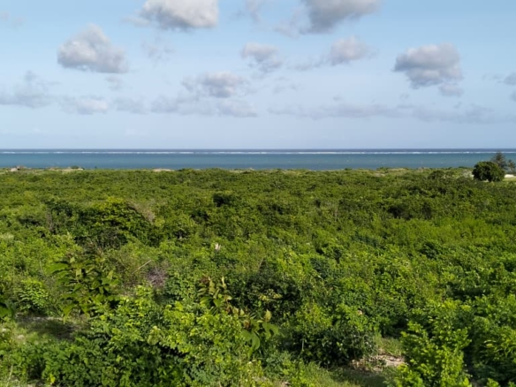 4 Acres for sale Malaika Beach Watamu
