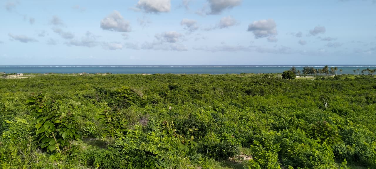 4 Acres for sale Malaika Beach Watamu