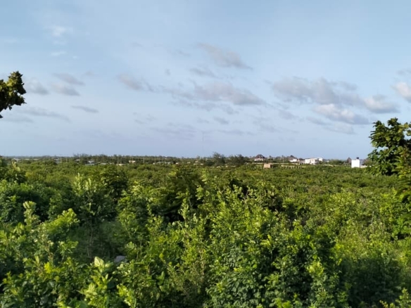 4 Acres for sale Malaika Beach Watamu