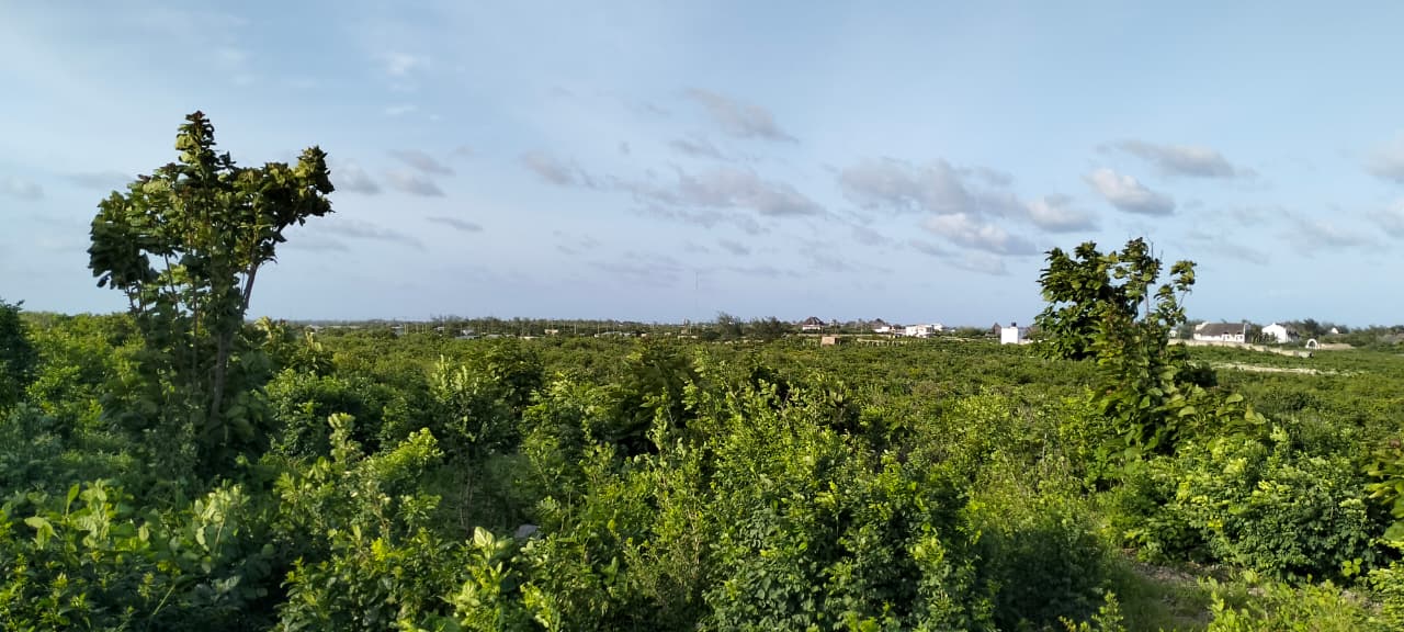 4 Acres for sale Malaika Beach Watamu