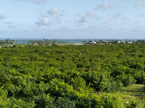 4 Acres for sale Malaika Beach Watamu