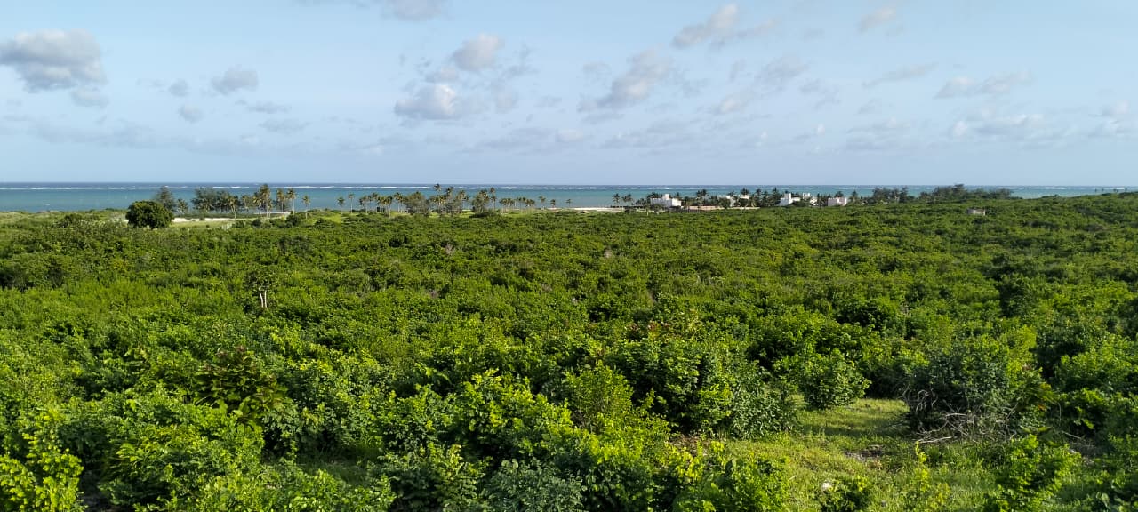 4 Acres for sale Malaika Beach Watamu