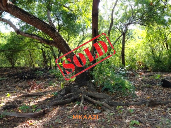 Luxury 1.072-Acre Plot For Sale in Watamu