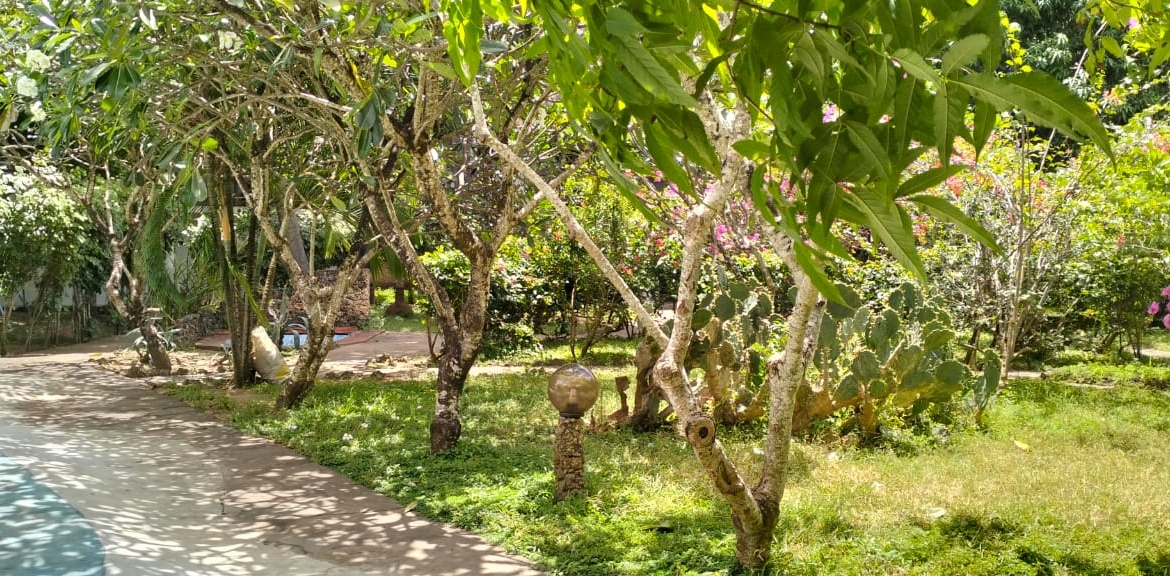 Furnished bedsitter Light Academy, bedsitter for rent KES 10k, Mkaazi Real Estate bedsitter, gated community rental, affordable student housing, bedsitter near Light Academy, furnished bedsitter Kenya