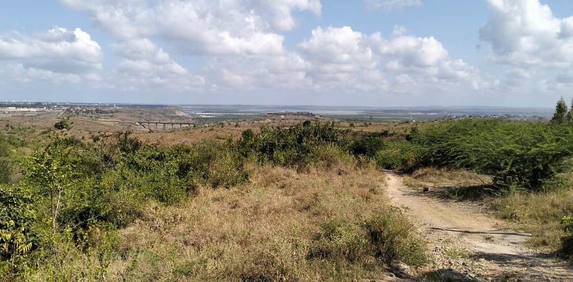 4.86 acres in Mazeras (Bonje), 1.2km off Mombasa Road. Solid rock, all-weather access, 3-phase power, panoramic Port Reitz views. Asking KSh 30.2M. Contact Mkaazi.