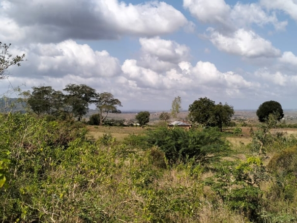 4.86 acres in Mazeras (Bonje), 1.2km off Mombasa Road. Solid rock, all-weather access, 3-phase power, panoramic Port Reitz views. Asking KSh 30.2M. Contact Mkaazi.