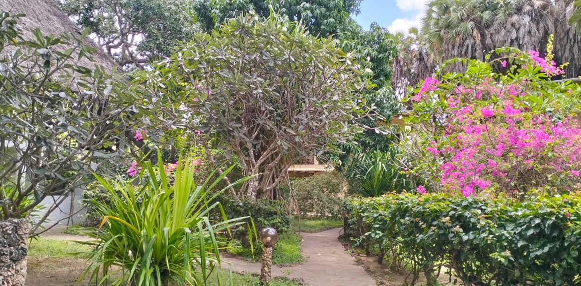 Boutique resort for sale Kenya, coastal property investment, resort with pool Kenya, freehold title property, apartments for sale [Insert Location], hospitality investment Kenya, resort for renovation Kenya