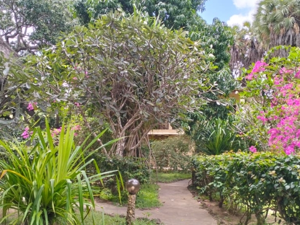 Boutique resort for sale Kenya, coastal property investment, resort with pool Kenya, freehold title property, apartments for sale [Insert Location], hospitality investment Kenya, resort for renovation Kenya