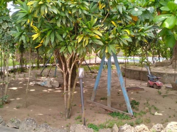 Boutique resort for sale Kenya, coastal property investment, resort with pool Kenya, freehold title property, apartments for sale [Insert Location], hospitality investment Kenya, resort for renovation Kenya