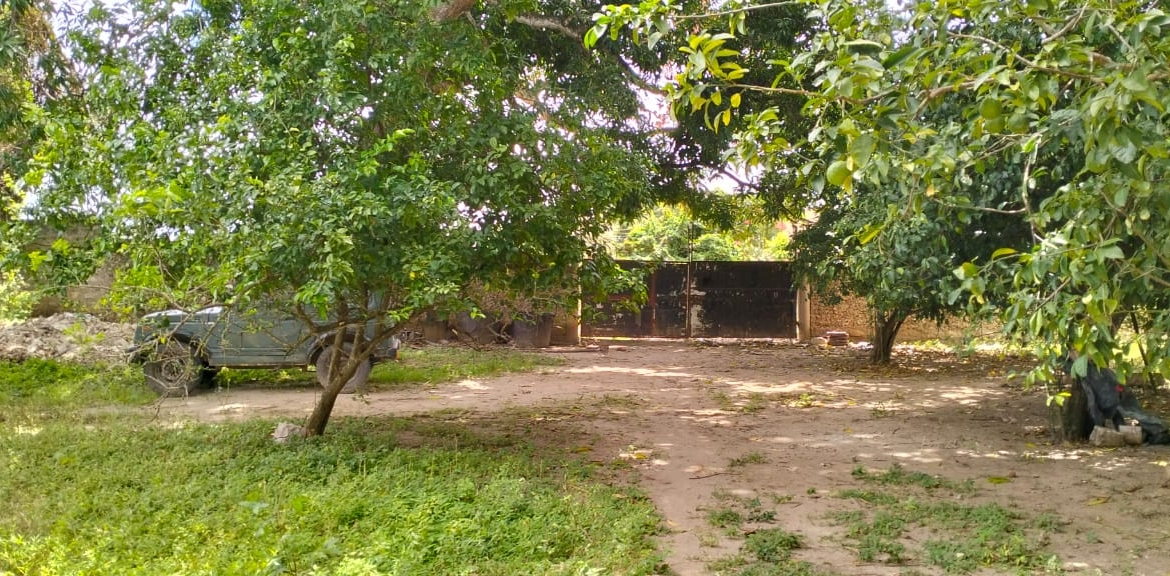 Boutique resort for sale Kenya, coastal property investment, resort with pool Kenya, freehold title property, apartments for sale [Insert Location], hospitality investment Kenya, resort for renovation Kenya